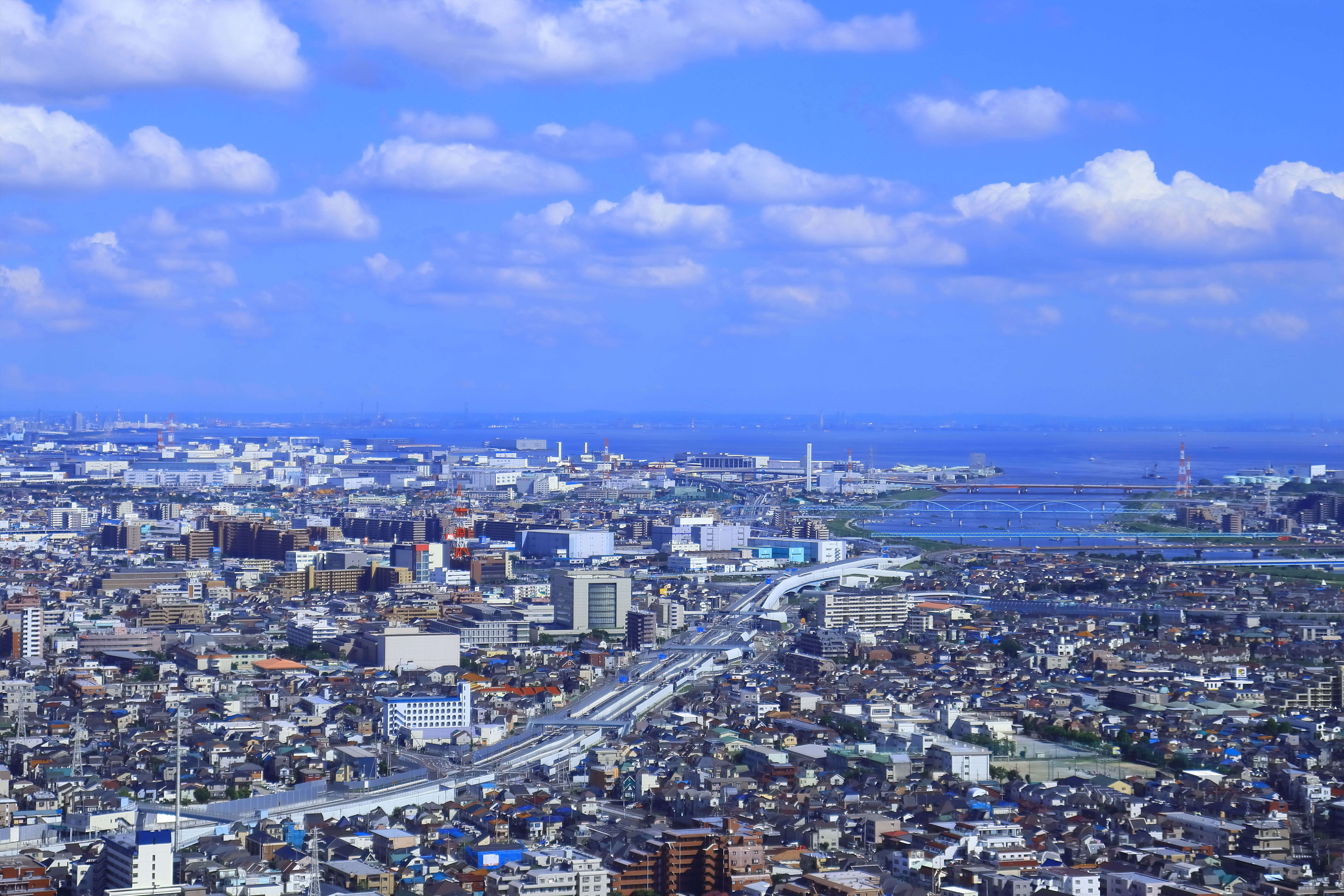 Real estate professional